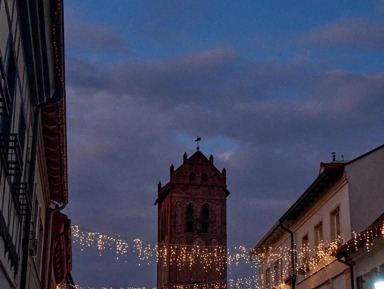 «По следам Наполеона»: от Багратионовска до Правдинска в мини-группе – групповая экскурсия