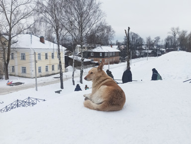 Славный город Переславль-Залесский – индивидуальная экскурсия