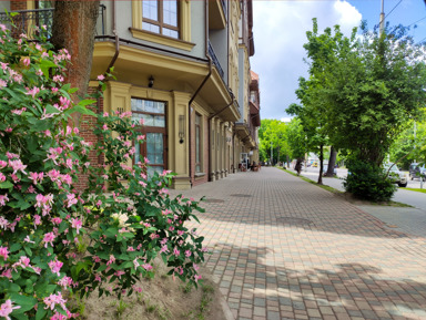 Экскурсия по  Амалиенау