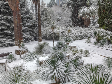 Обзорная экскурсия по Сочи