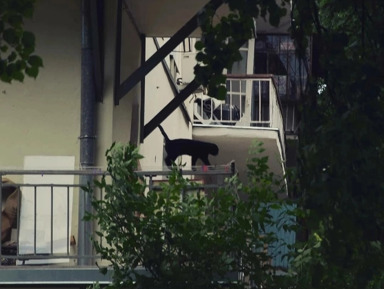 Миры и дворы Уралмаша – индивидуальная экскурсия