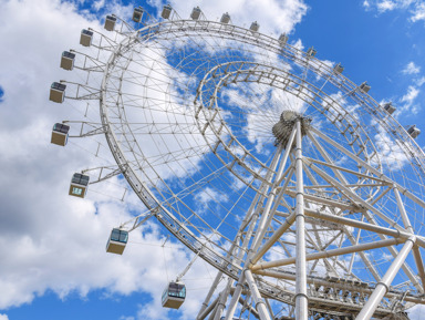 «Солнце Москвы»: экскурсия по ВДНХ + панорамный полёт над ВДНХ и столицей