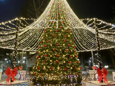 Зеленоградск: Волшебный аудиоспектакль по улицам старинного города – групповая экскурсия