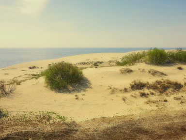 Куршская коса с автором книг-бестселлеров без пробок и толп – индивидуальная экскурсия