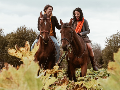 Прогулка на лошадях по горам Геленджика – индивидуальная экскурсия