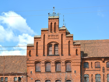 Замок Тапиау и памятники прусской истории – групповая экскурсия