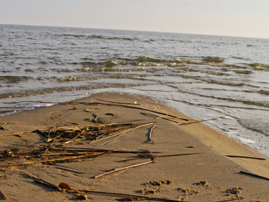 «Песчаная катастрофа»: увлекательная экскурсия по Куршской косе