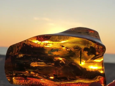 Из Зеленоградска в Балтийск, Янтарный и Светлогорск в мини-группе – групповая экскурсия