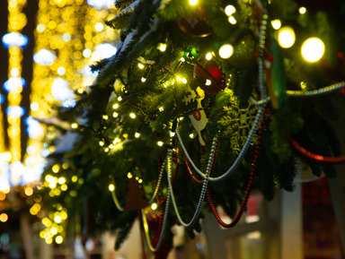 «Новогодний калейдоскоп»: обзорная экскурсия на транспорте туристов