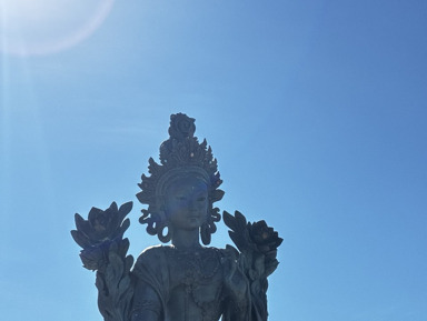 Энергия Тары: Обретение Защиты и Гармонии – индивидуальная экскурсия