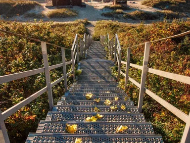 Три приморских города — Балтийск, Янтарный, Светлогорск – групповая экскурсия