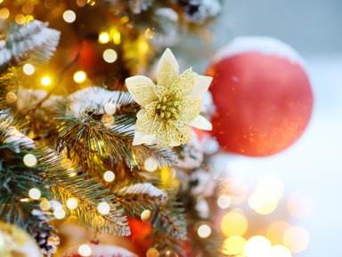 Влюбиться в зимний Новосибирск на авто – индивидуальная экскурсия