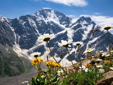 Нетипичный Эльбрус: водопады, дикие ущелья и снежные хребты – индивидуальная экскурсия