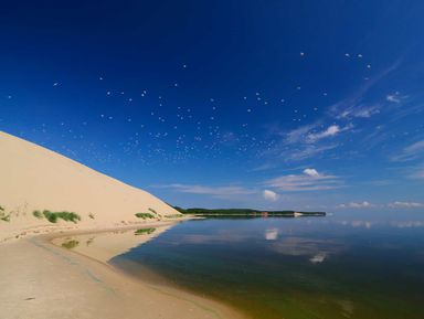 Куршская коса: земля древних куршей и великанши Неринги (из Калининграда) – индивидуальная экскурсия