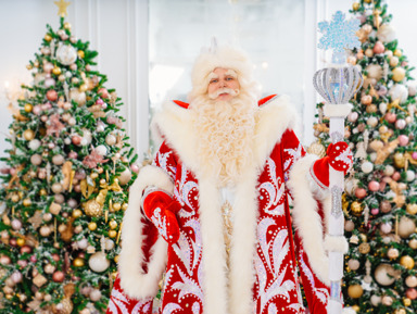 Онежская феерия: Петрозаводск и Вотчина Деда Мороза – групповая экскурсия