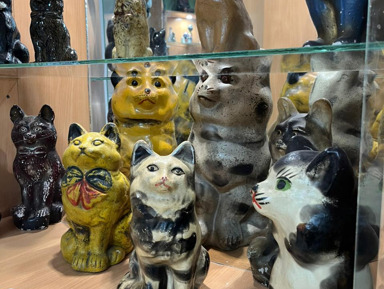 В Калугу за котами — экскурсия в уникальный калужский КотМузей