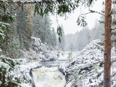 Увидеть всё: Золотое кольцо Карелии за один день – индивидуальная экскурсия