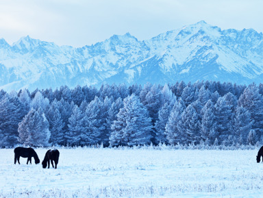 Аршан — Восточные Саяны, Хамардабан и Тункинская долина – групповая экскурсия