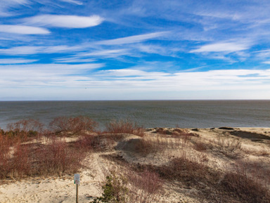 Экскурсия «Куршская коса»: Танцующий лес, Высота Эфа (дюна)