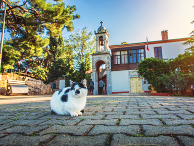 Фотопрогулка на Принцевы Острова – индивидуальная экскурсия