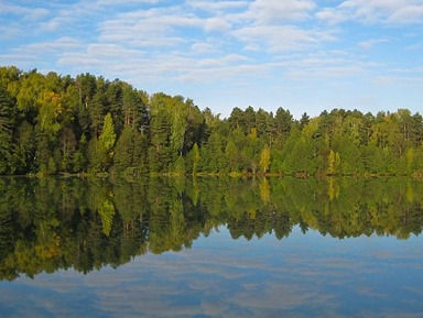 Светлояр — легендарное озеро, место силы и духовный центр  – индивидуальная экскурсия