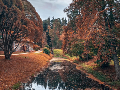 Золотая осень в Пушкинских Горах – групповая экскурсия