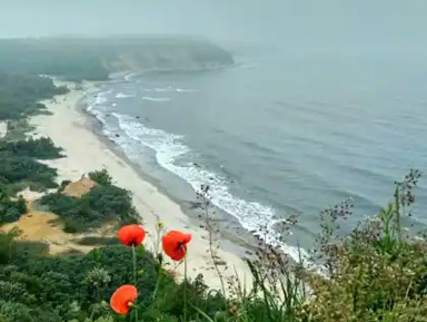 Путешествие по побережью: Балтийск, Янтарный, Филинская бухта, Светлогорск  – групповая экскурсия