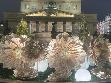 От Кремля до Лубянской площади — сказочное новогоднее путешествие по центру – индивидуальная экскурсия