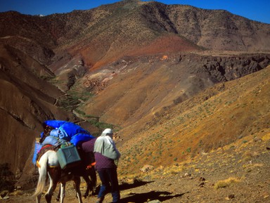 Из Марракеша в Атласские горы и деревню берберов – индивидуальная экскурсия