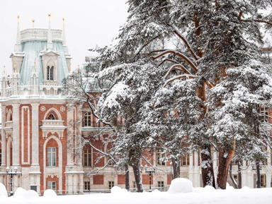 Царицыно и Большой дворец — пешеходная экскурсия
