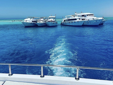 Египетские Мальдивы на Vip-Яхте в Шарм-эш-Шейх – групповая экскурсия