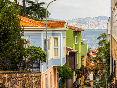 Зеленый оазис Принцевых островов – групповая экскурсия