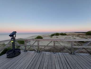 От Куршской косы до курортов: Зеленоградск, Светлогорск и Янтарный – индивидуальная экскурсия