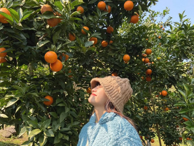 ЗИМНЯЯ СКАЗКА - Рукотворная Абхазия, Сухум, Кындык,Черниговка – групповая экскурсия