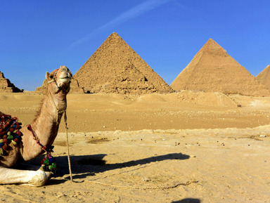 пирамиды Гизы, прогулка по нилу и старый Каир – индивидуальная экскурсия