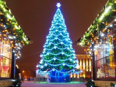 Воронеж — родина Нового года: пешеходная прогулка – групповая экскурсия