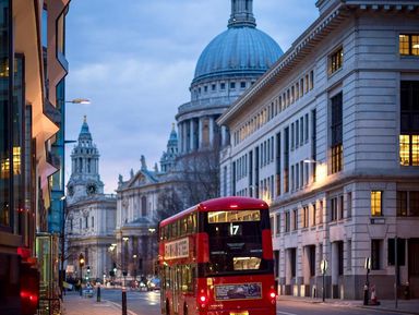 Обзорная прогулка «Секреты старого Лондона» – индивидуальная экскурсия