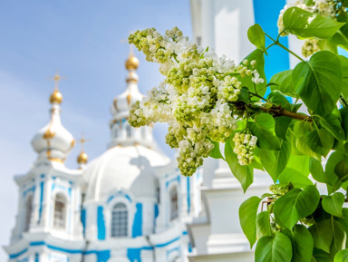 Небо на земле. Ансамбль Смольного монастыря (+ сад Смольного) – групповая экскурсия