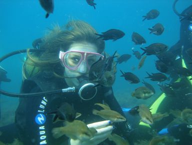 Подводное погружение и кормление рыбок в Геленджике – групповая экскурсия