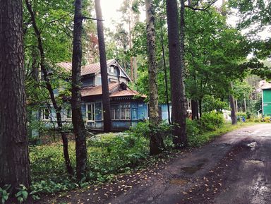 Оллинпяя — заповедник старинных дач – групповая экскурсия