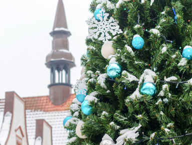 «Балтийский вояж»: Светлогорск и Зеленоградск – групповая экскурсия