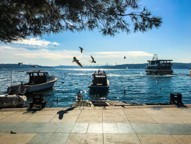 Исторический центр Стамбула и прогулка по Босфору – индивидуальная экскурсия
