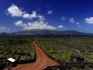 Азорский остров Пику — почувствовать вулканическую мощь Земли – индивидуальная экскурсия