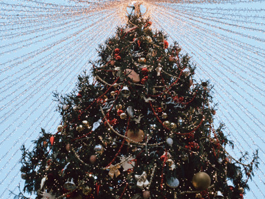 Средневековая сказка в новогоднем Выборге – групповая экскурсия