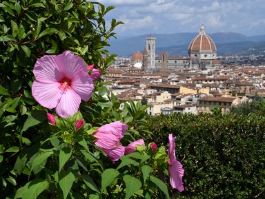 Флоренция как на oткрытке – индивидуальная экскурсия
