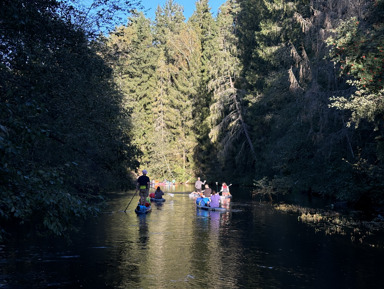 Двухдневный сплав на sup бордах по реке Оредеж – групповая экскурсия