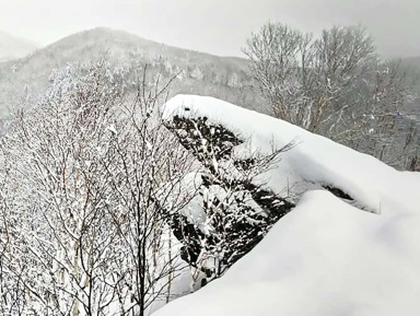 Аномальная зона или место силы — какая она «Лягушка»? – индивидуальная экскурсия