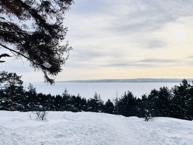 Петрозаводск, Шунгит и Чертов стул с пикником – групповая экскурсия