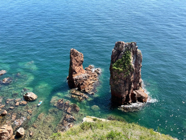 Морское приключение, морские котики и морепродукты – групповая экскурсия