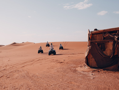 Марса Алам: Супер Сафари  – групповая экскурсия